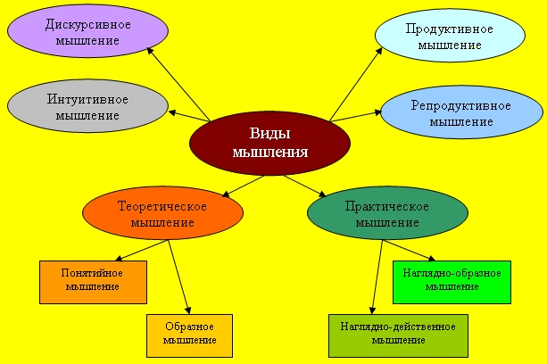 Виды мышления